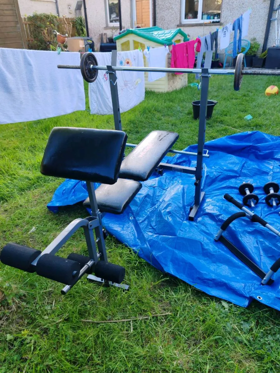Weight bench and weights - Image 1