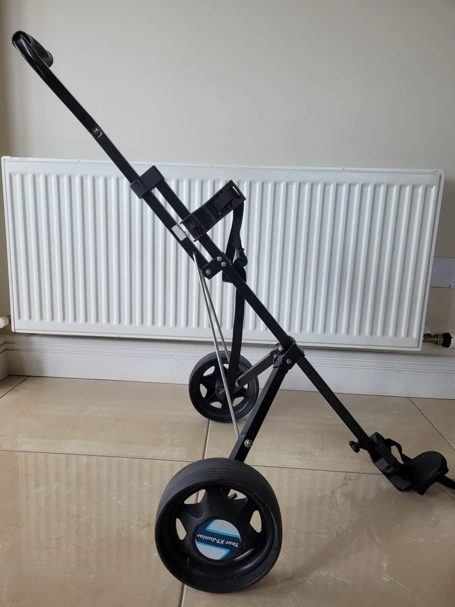 Junior Golf set and cart - Image 3