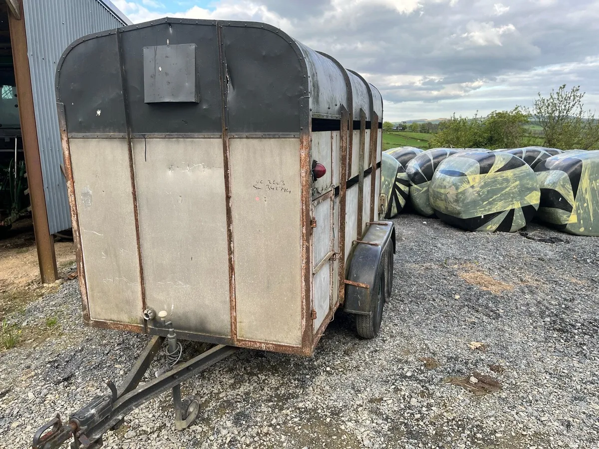 Cattle trailer 10x5 - Image 2