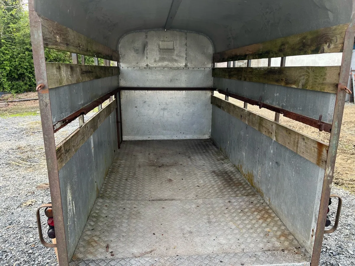Cattle trailer 10x5 - Image 4
