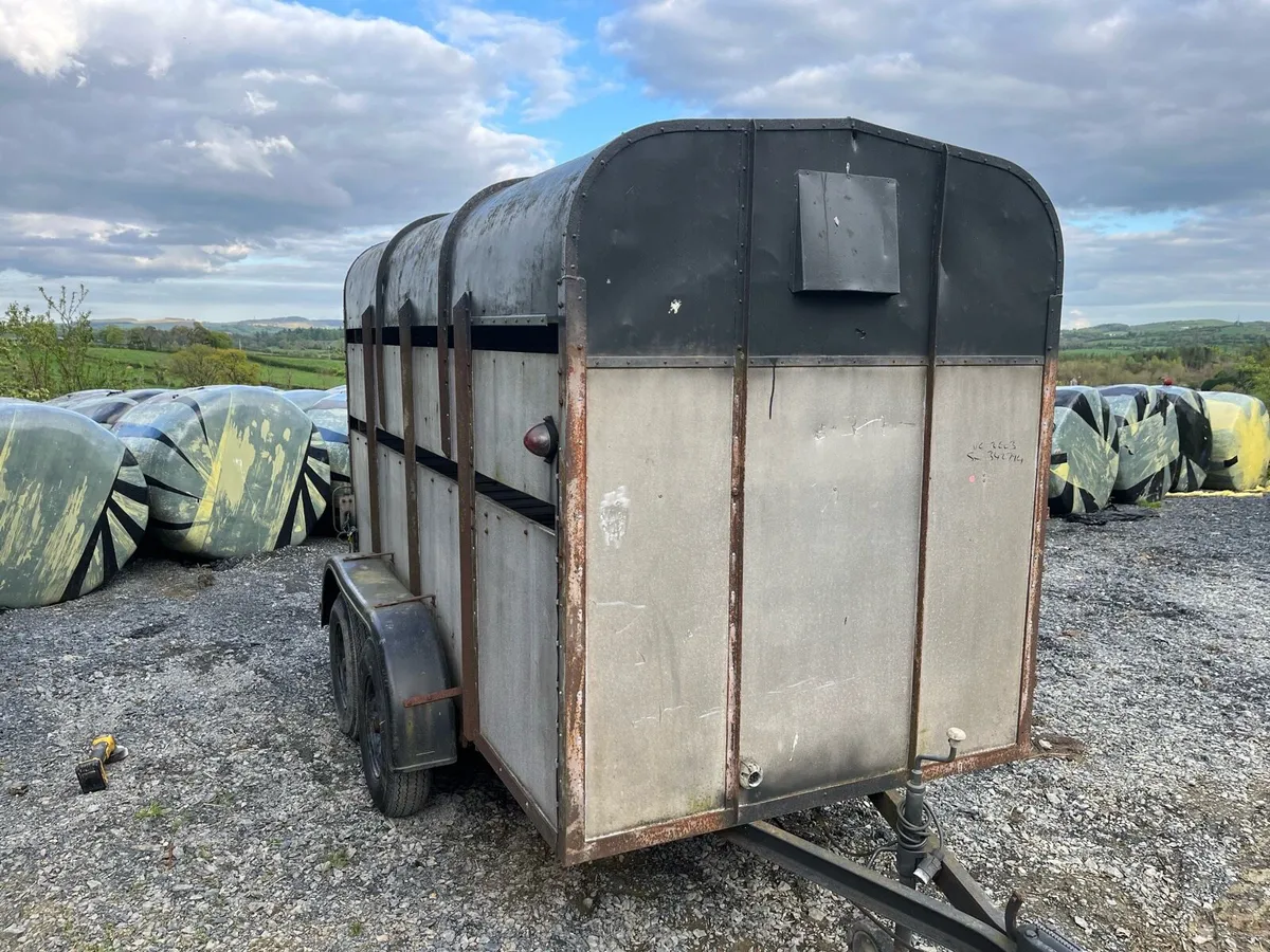 Cattle trailer 10x5 - Image 1