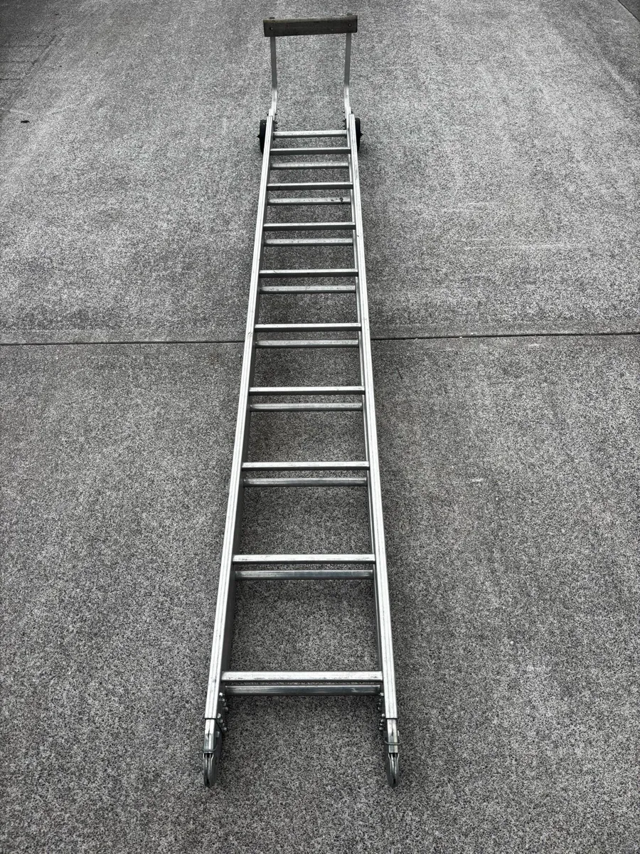 20 ft Roof ladder and 28ft triple ladder for sale - Image 2