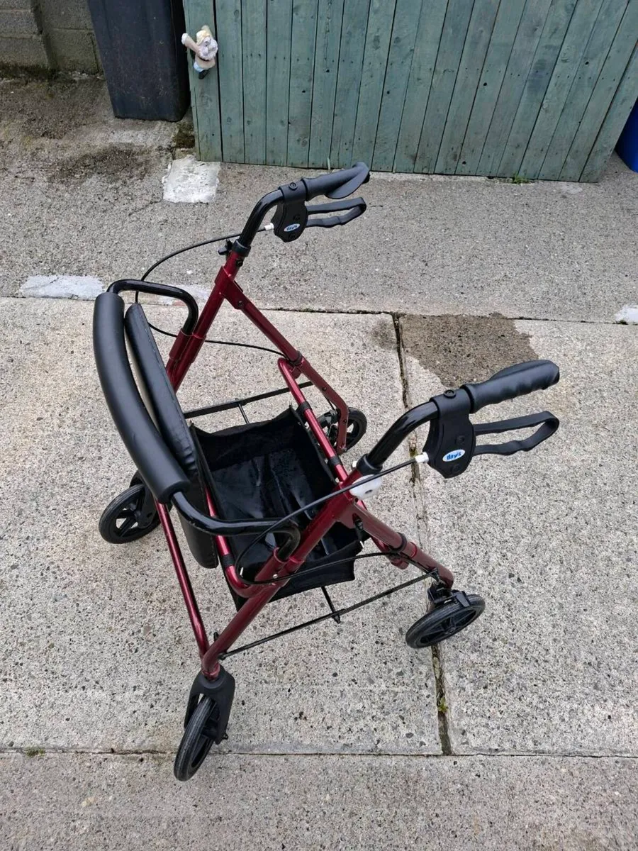 Walker - Image 4