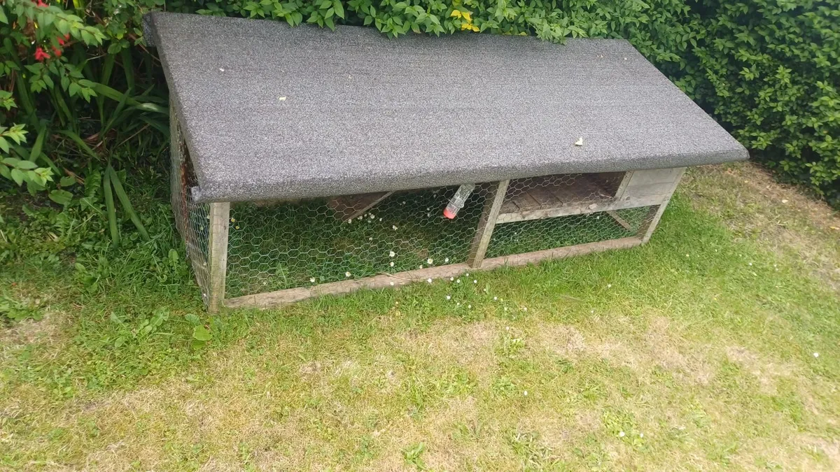 Rabbit hutch - Image 1
