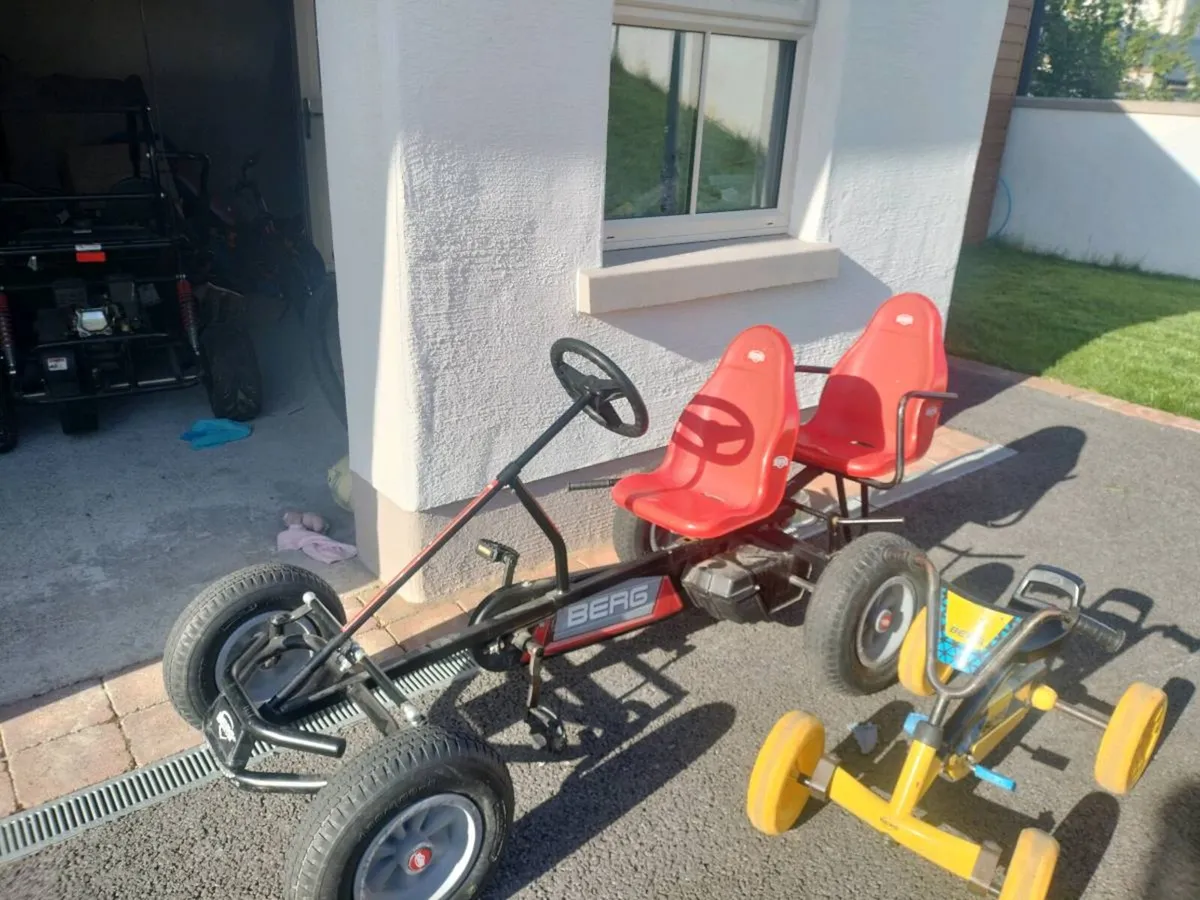 Berg Go Karts and Berg Trailer - Image 1