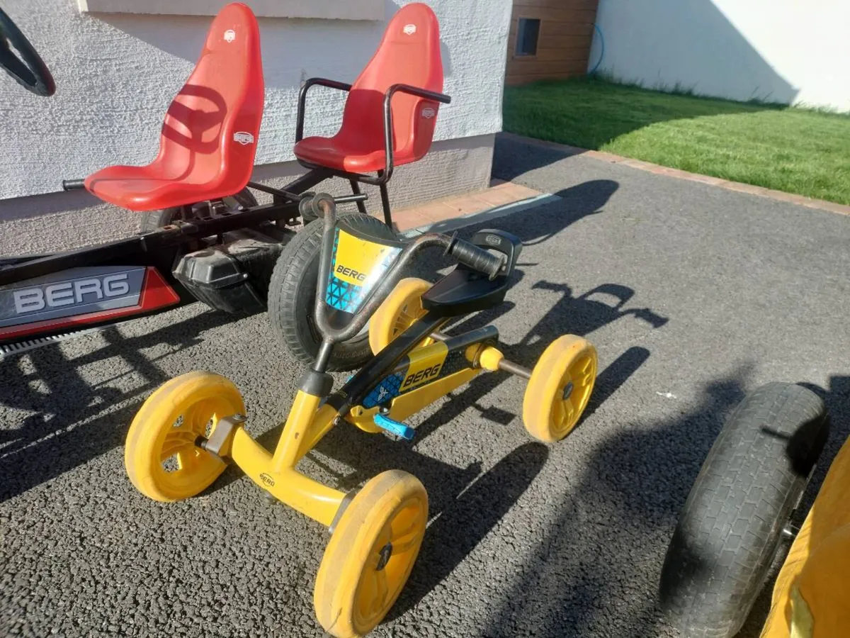 Berg Go Karts and Berg Trailer - Image 2