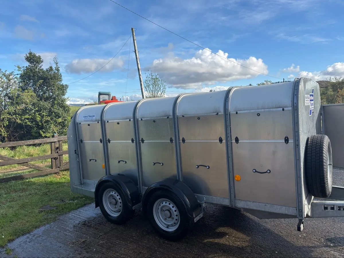 Ivor Williams sheep trailer - Image 3