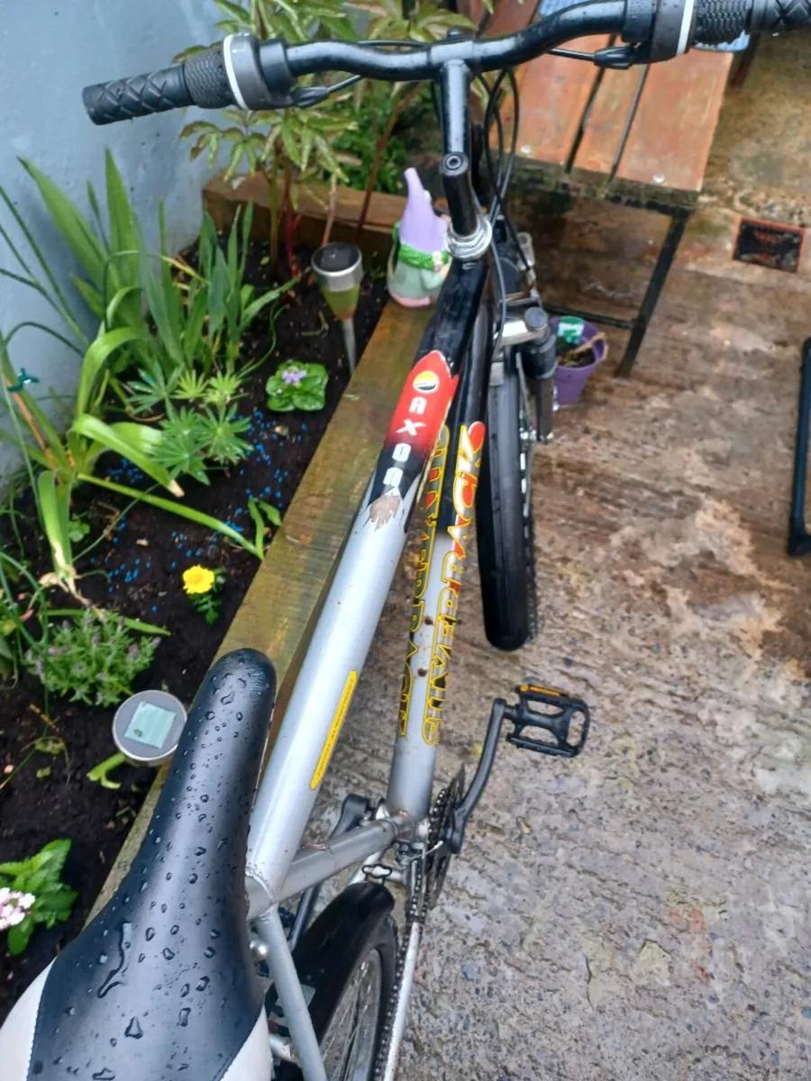 Saxon Mens bike - Image 4