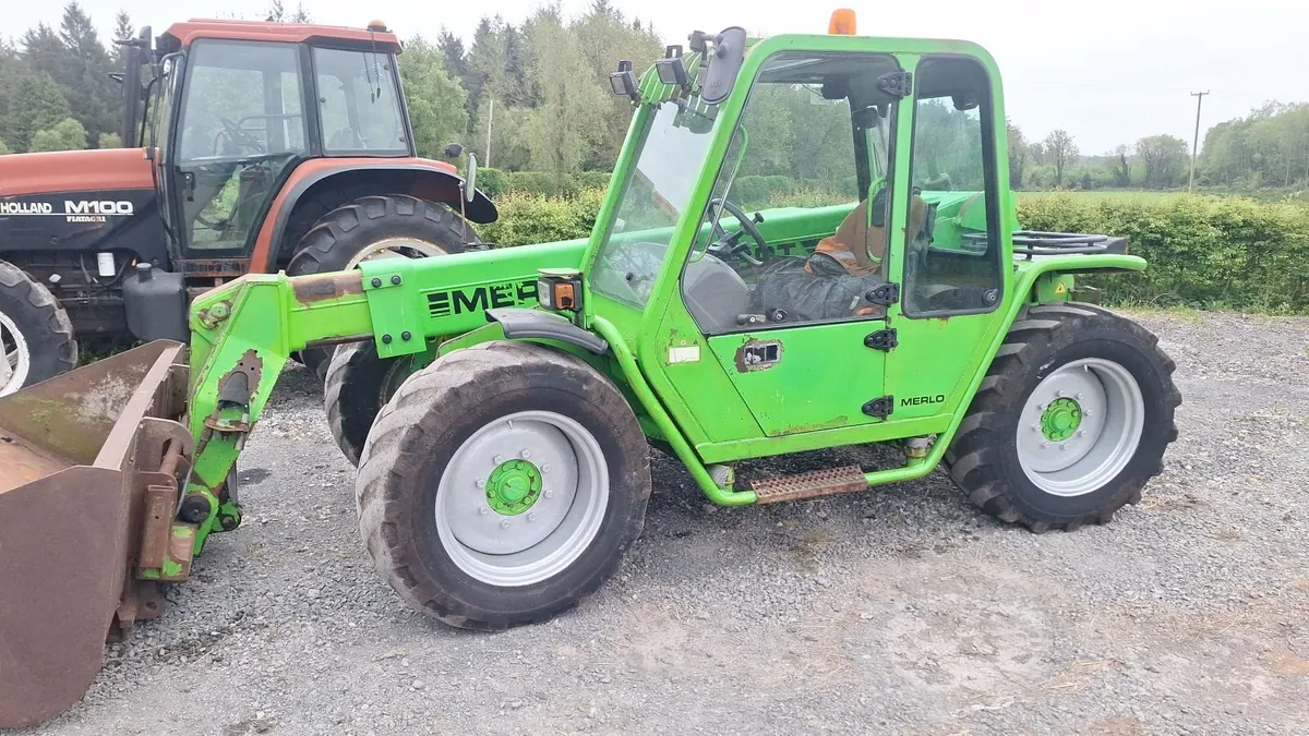 Merlo 2005 - Image 4