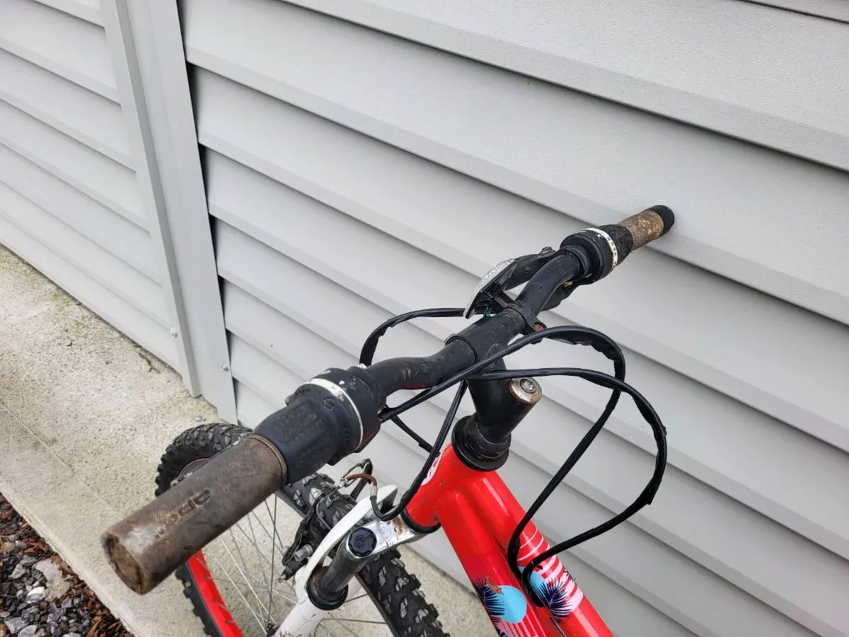 Bike - Image 4
