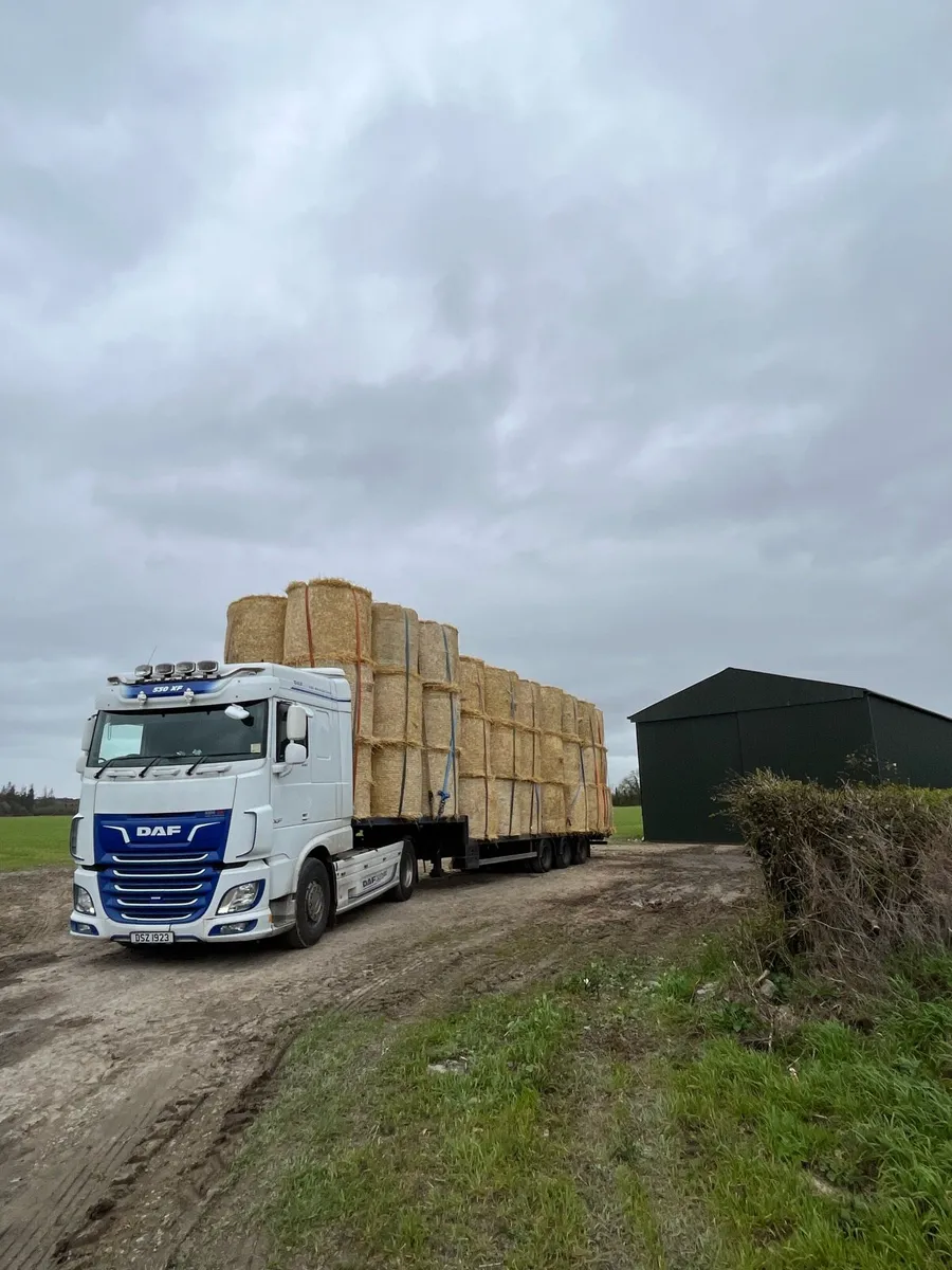 Round bales of Barley straw available. - Image 1