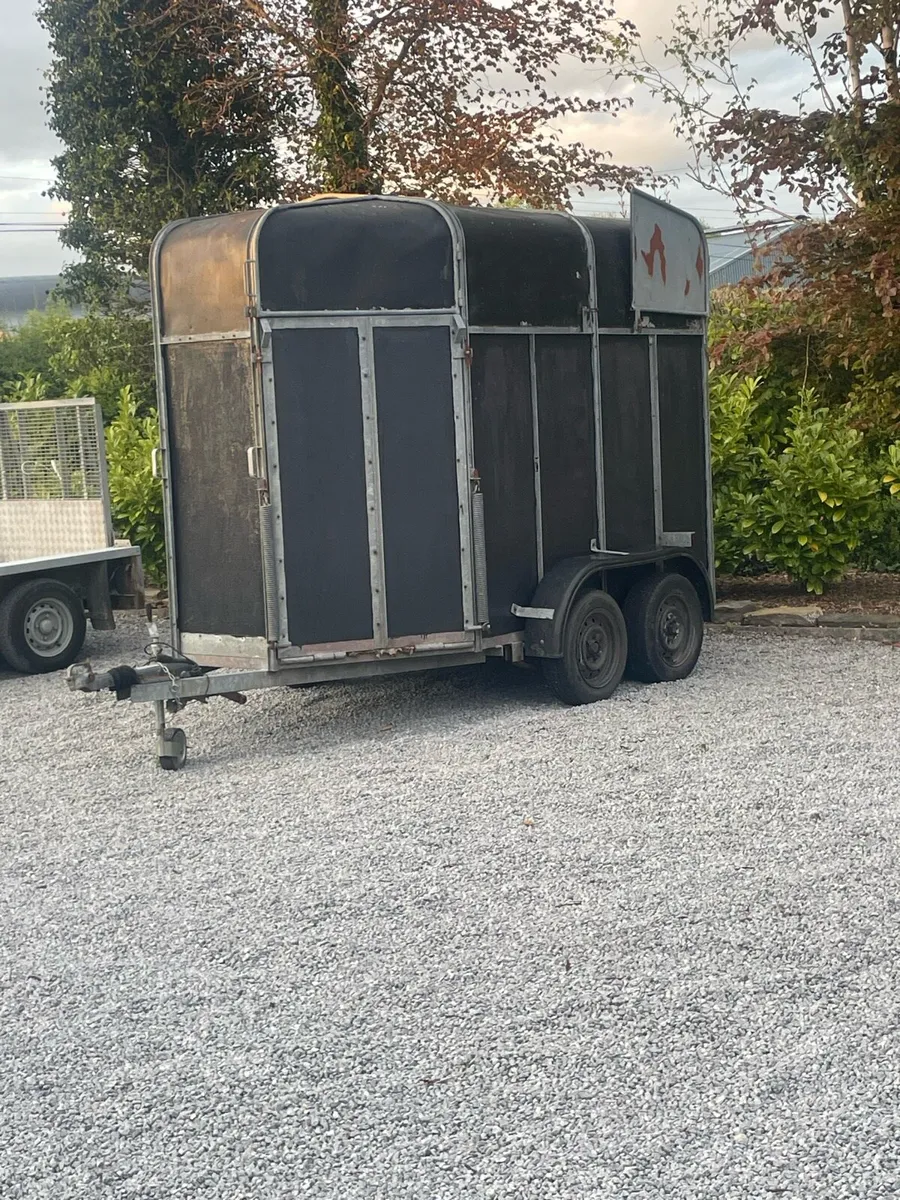 Horse box - Image 3