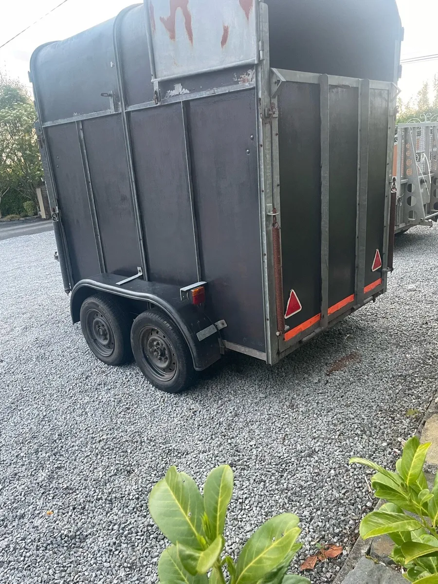 Horse box - Image 4