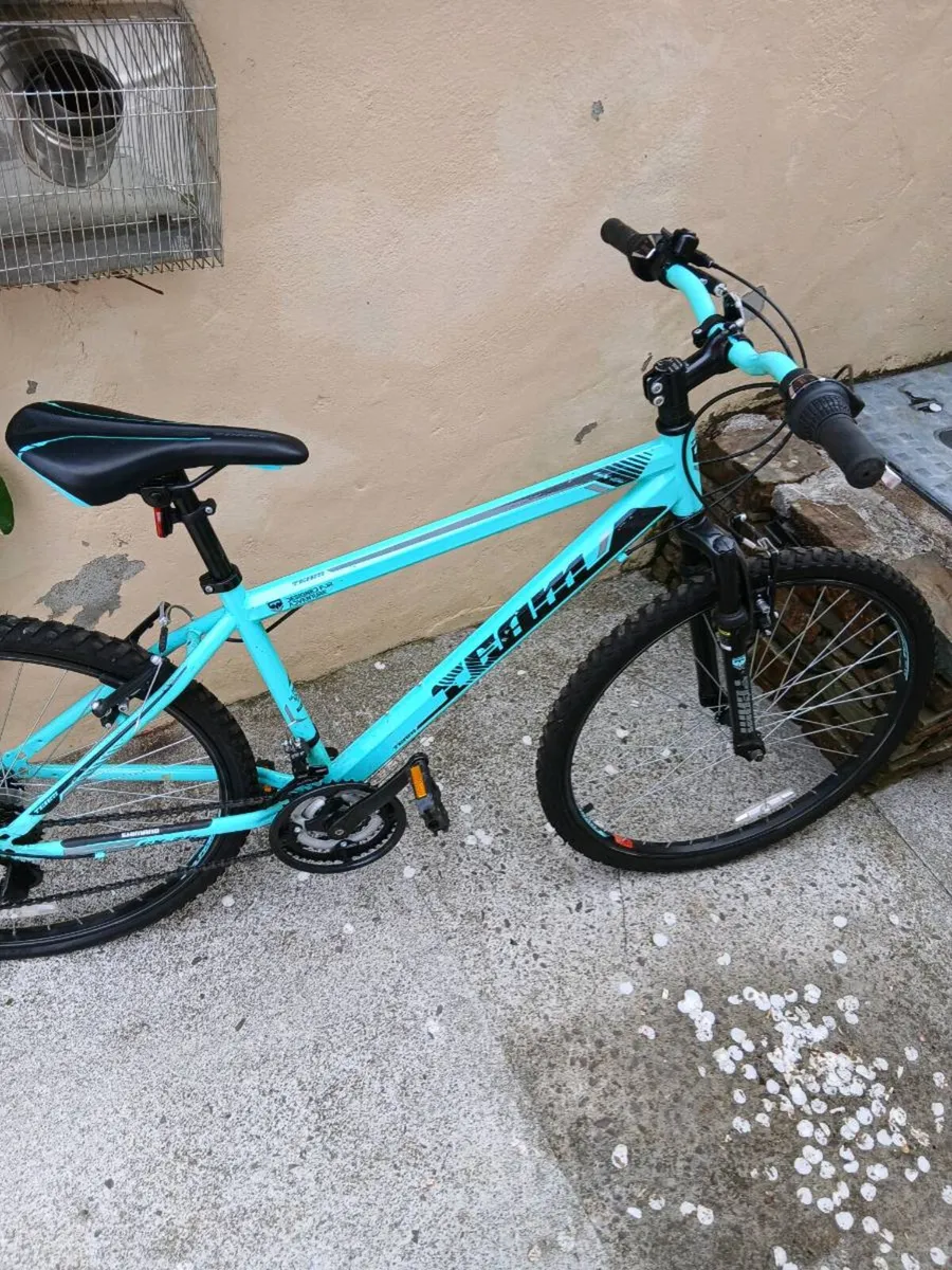 Bicycle - Image 1
