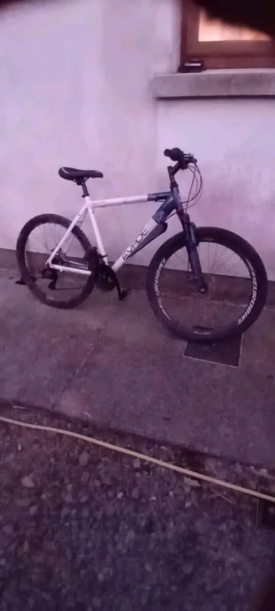 Adult bike - Image 1