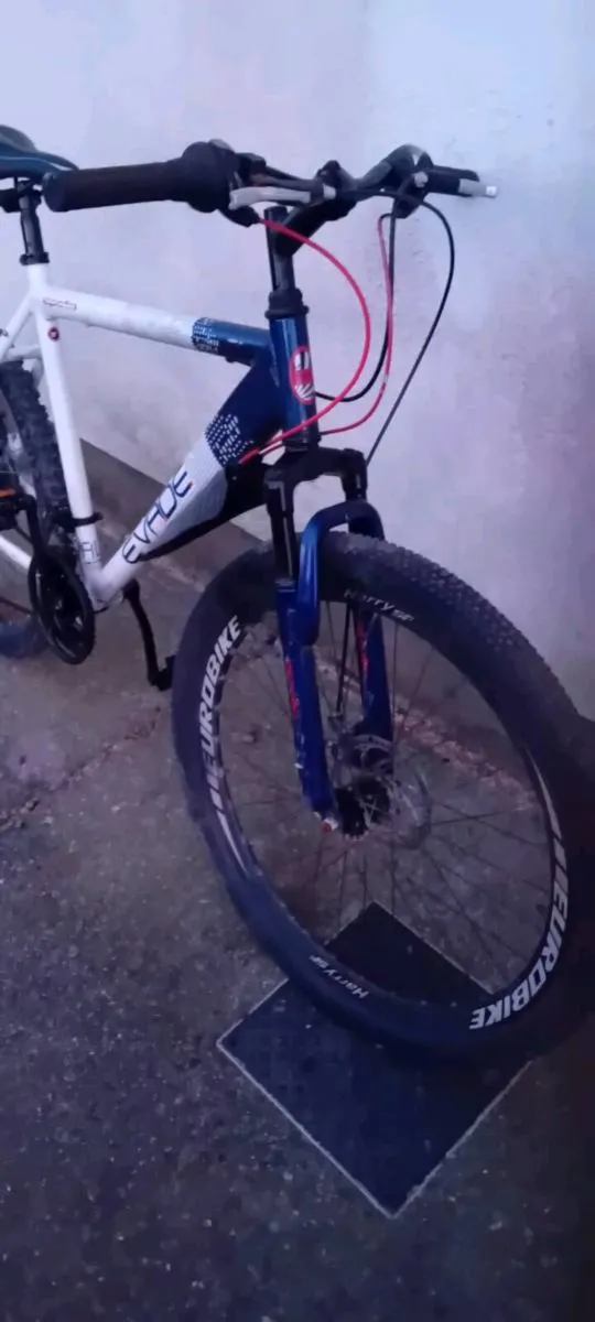Adult bike - Image 2