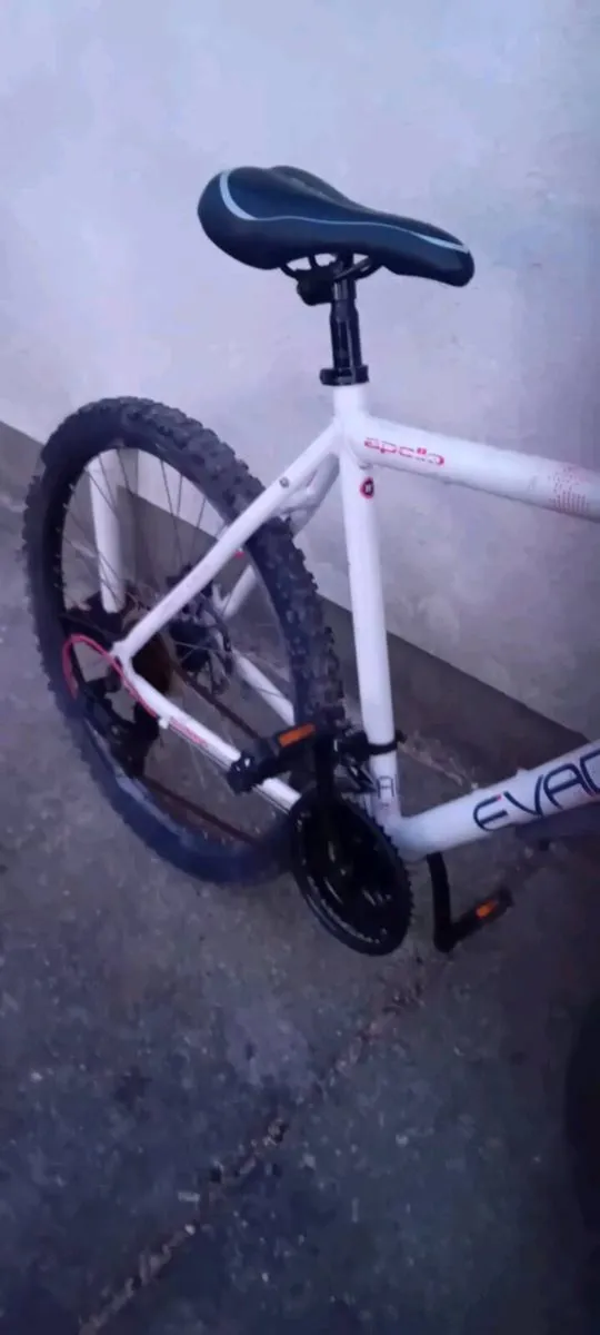 Adult bike - Image 3