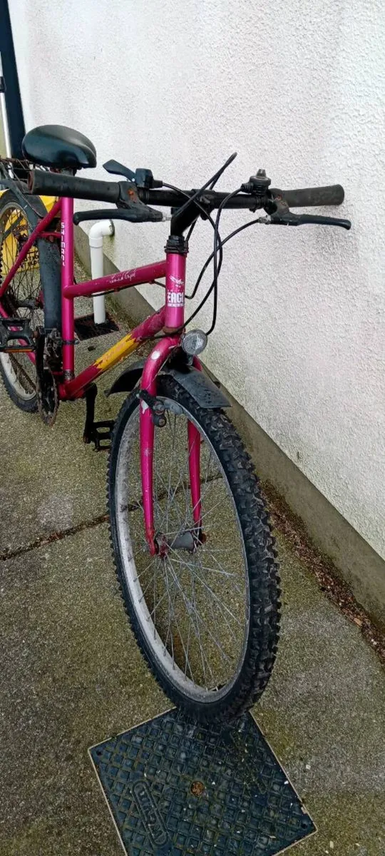 Women pink bike - Image 2