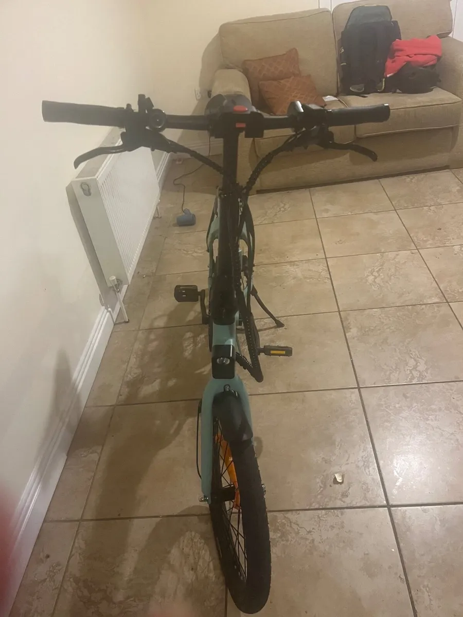E bike - Image 2