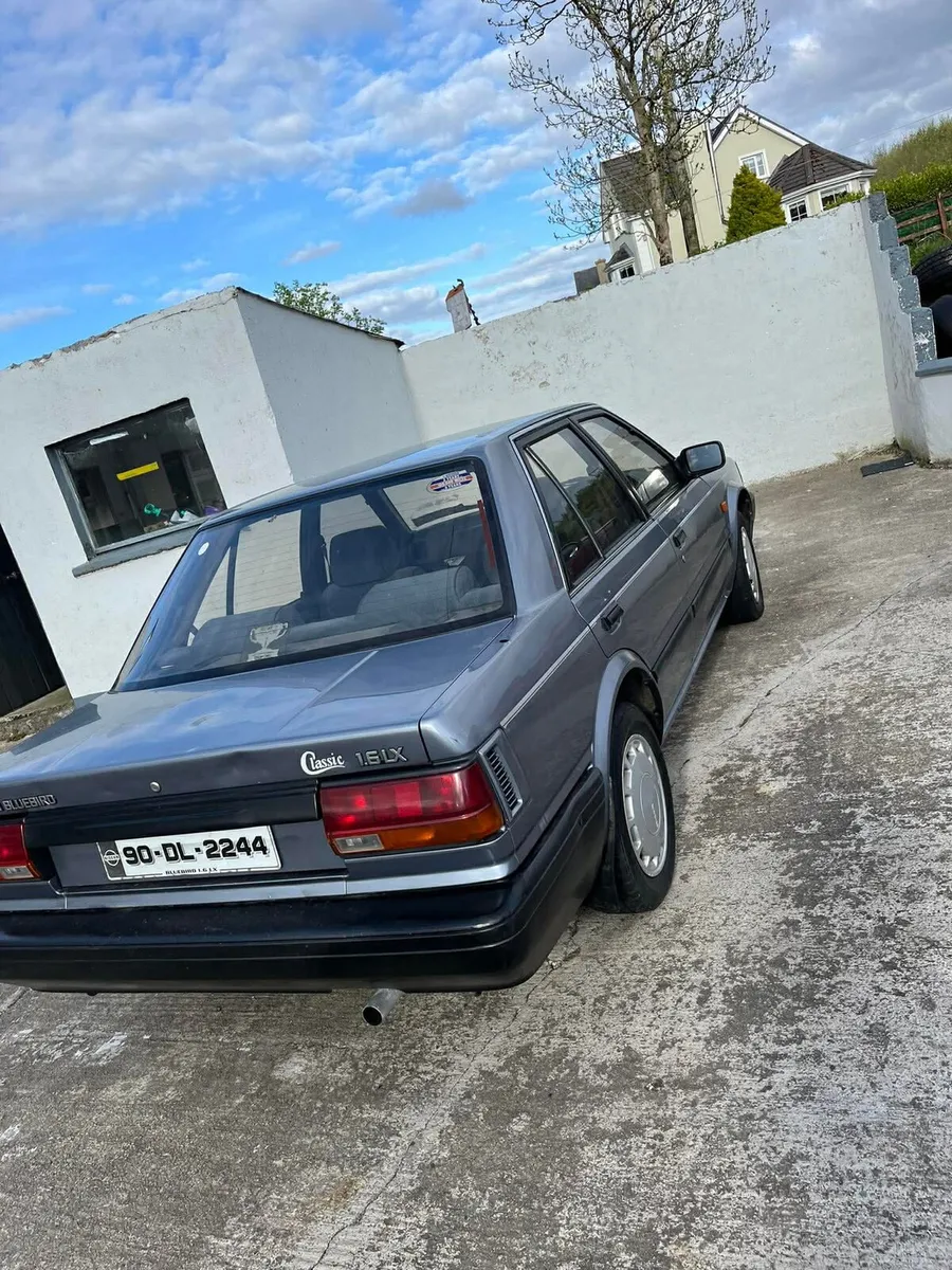 Nissan bluebird - Image 4