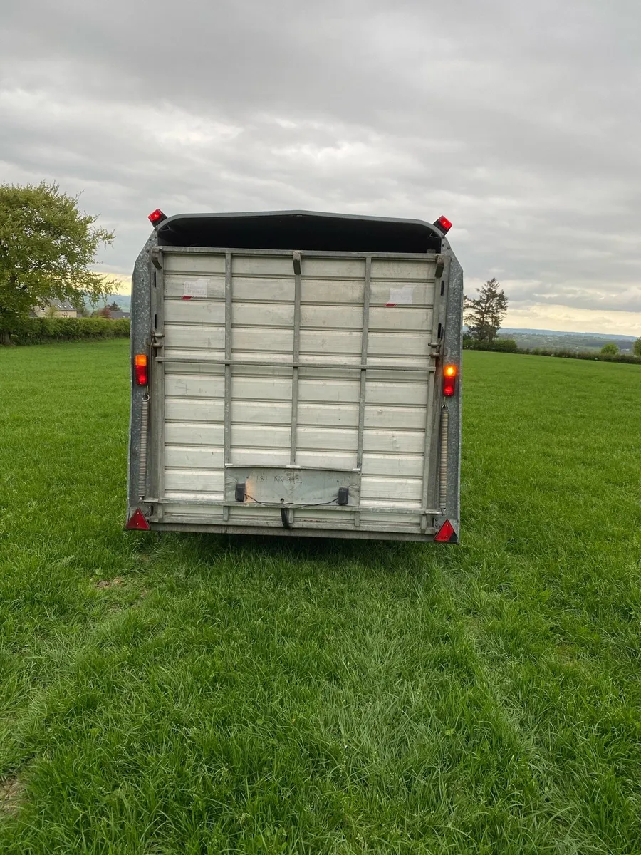 Cattle trailer - Image 2