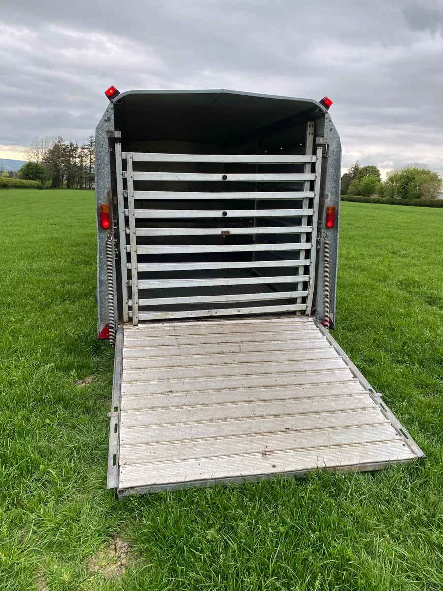 Cattle trailer - Image 4