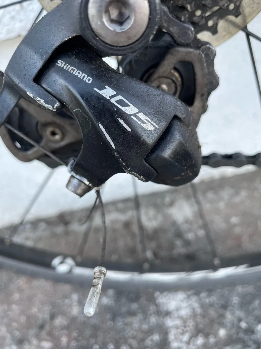 Treck madone - Image 3