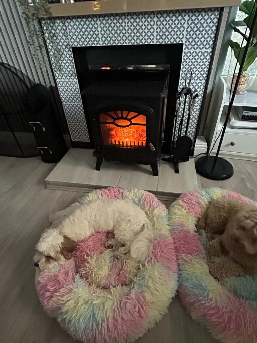Electric inset fire - Image 2