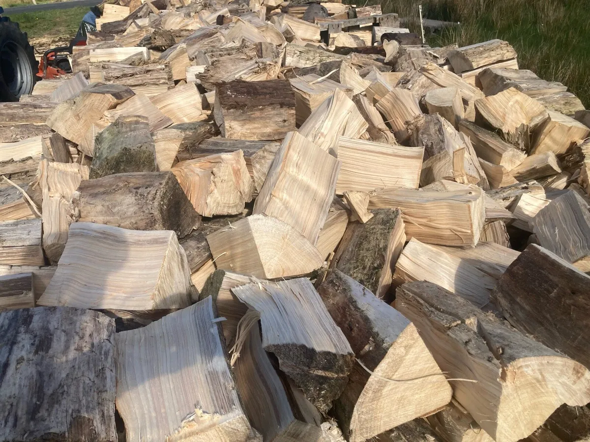 Firewood - Image 3