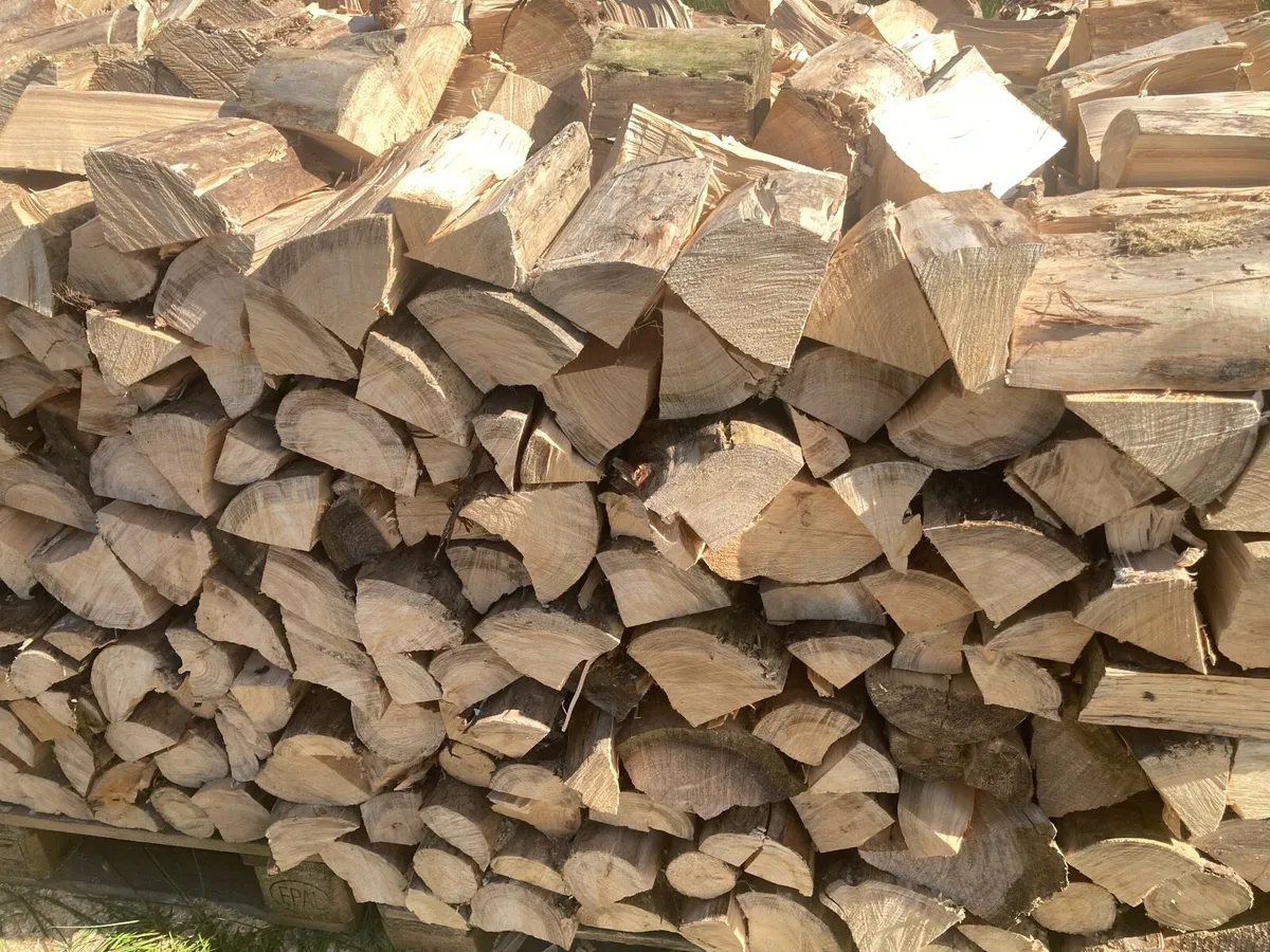 Firewood - Image 4