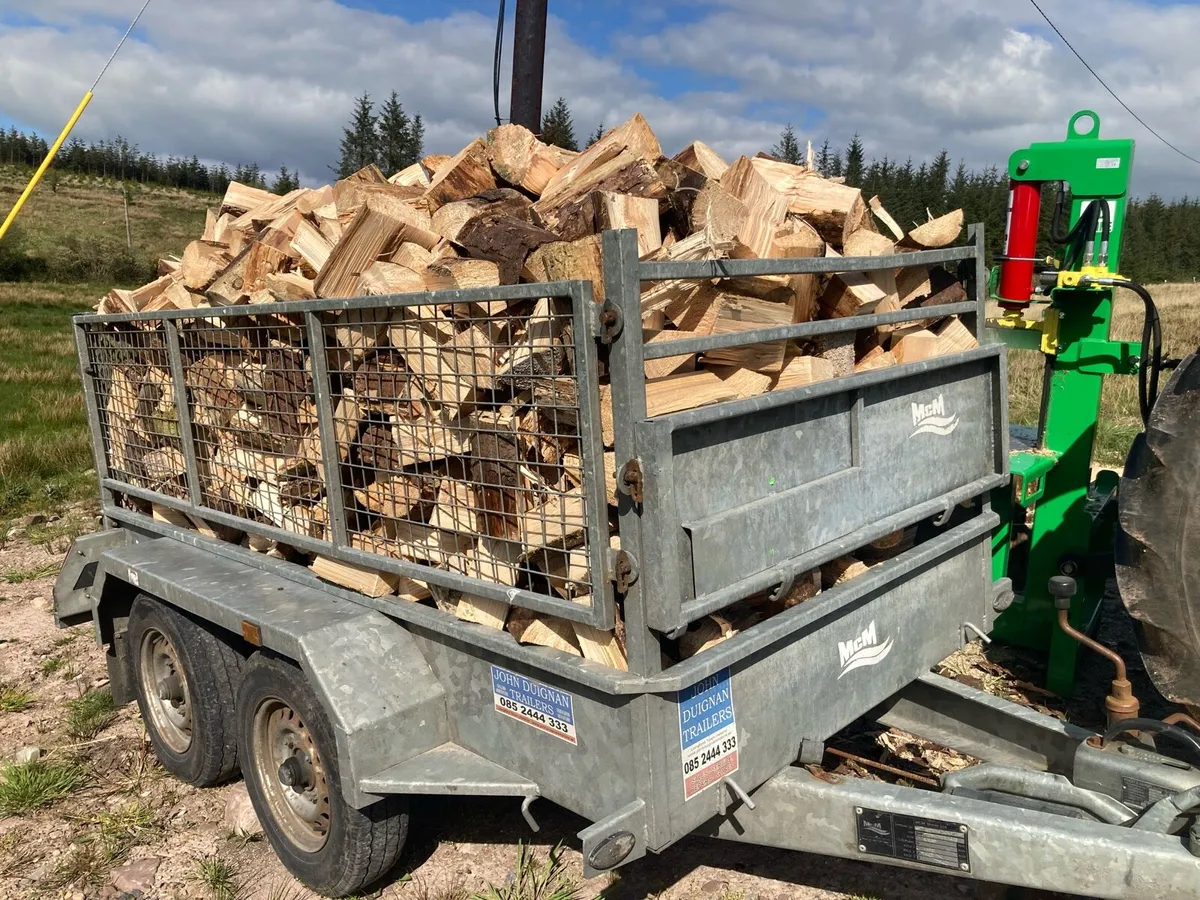 Firewood - Image 1