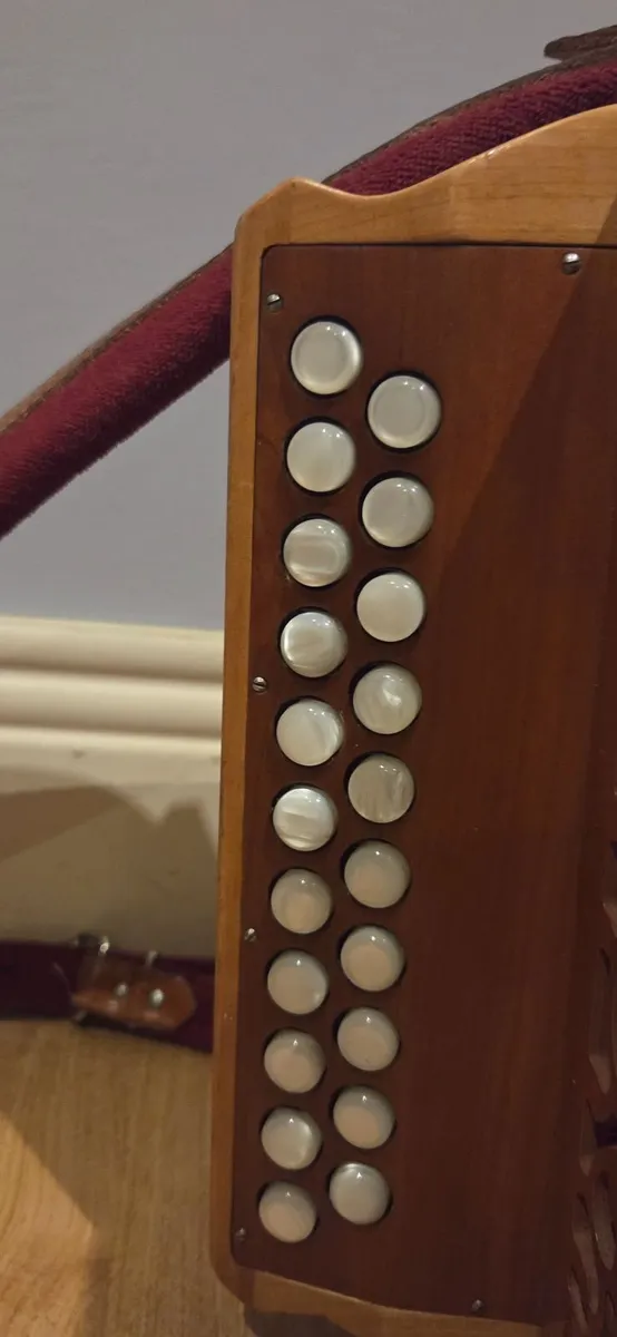 Accordion - Image 2
