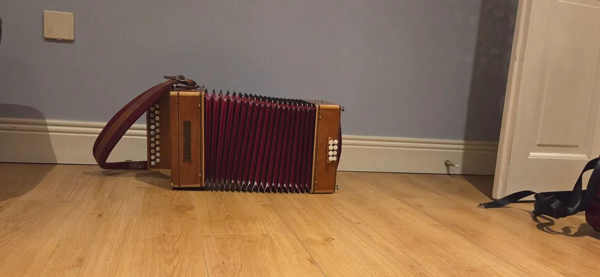 Accordion - Image 3