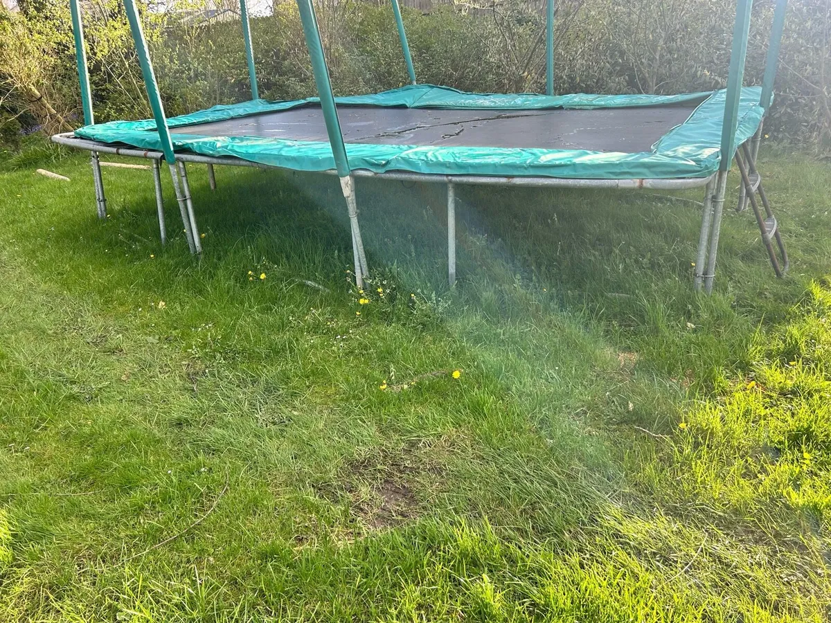 Trampoline - Image 2