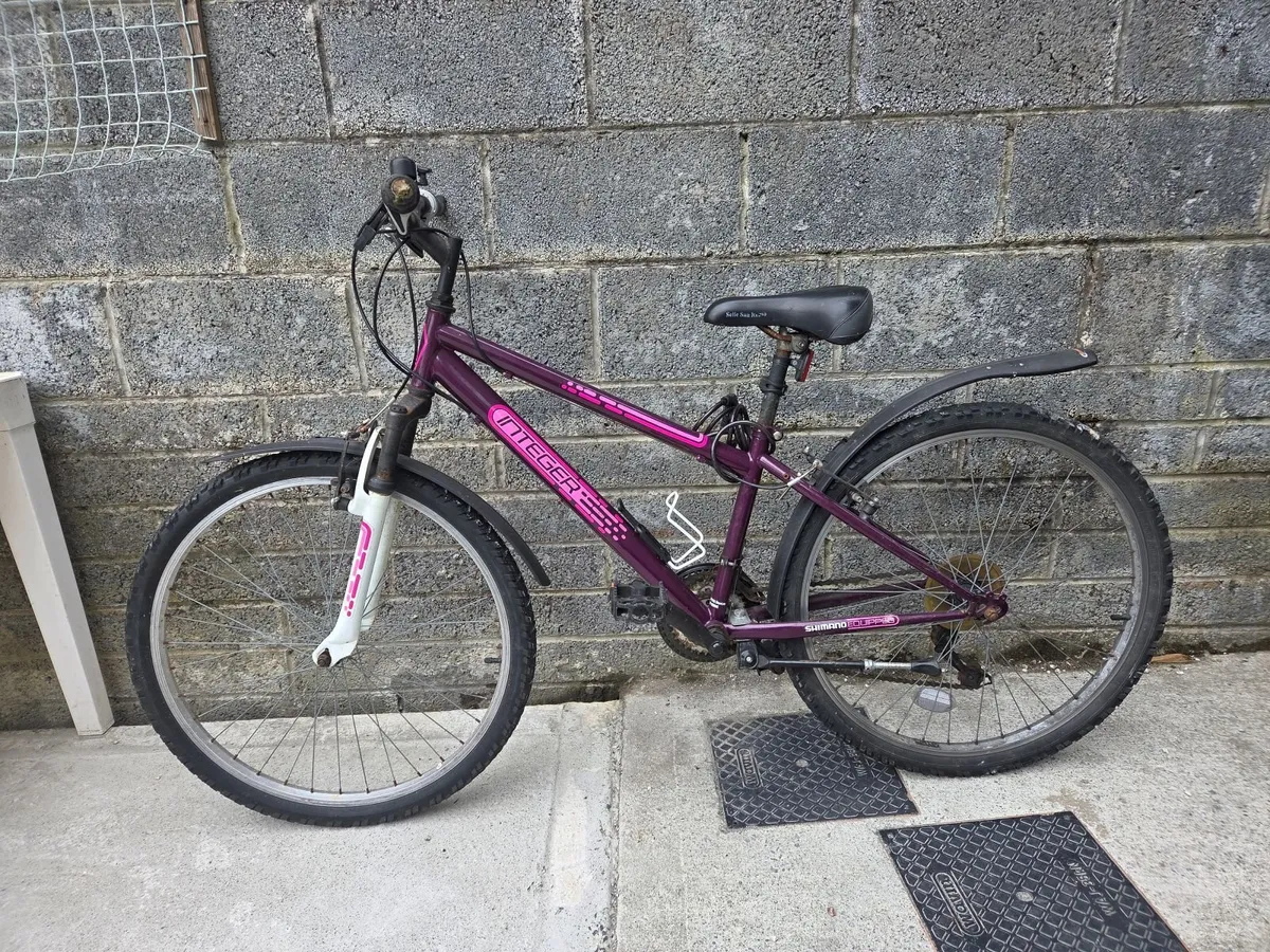 Bicycle - Image 1