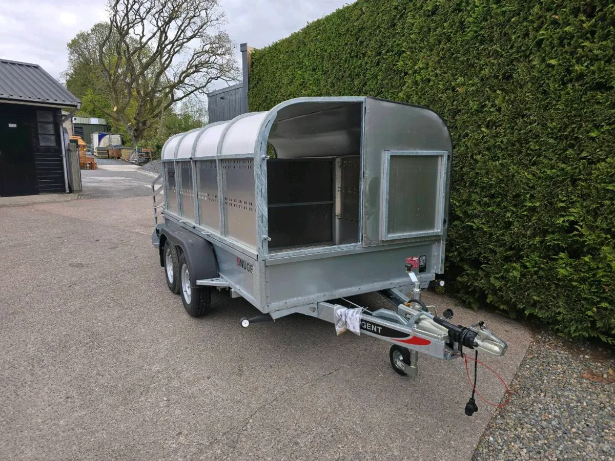 Nugent 10x5ft livestock canopy sheep trailer - Image 3