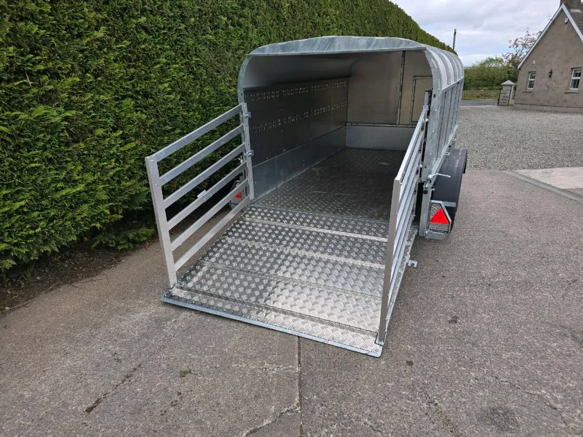 Nugent 10x5ft livestock canopy sheep trailer - Image 4