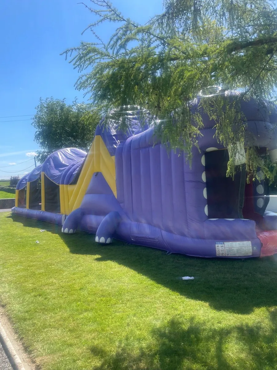Bouncing castle hire - Image 3