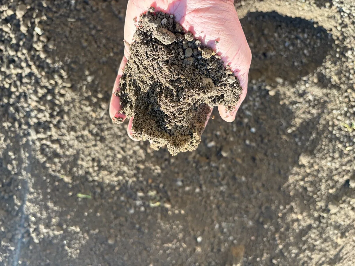Topsoil screened - Image 3