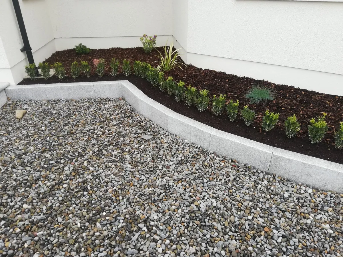 Box Hedging - Image 2