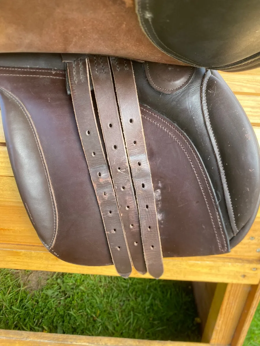 17-17.5 brown Leather jump saddle - Image 2