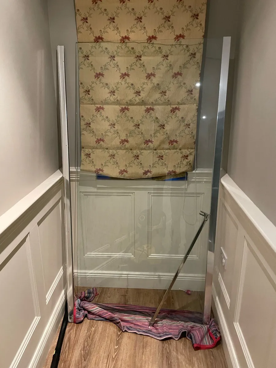 Shower door - Image 1