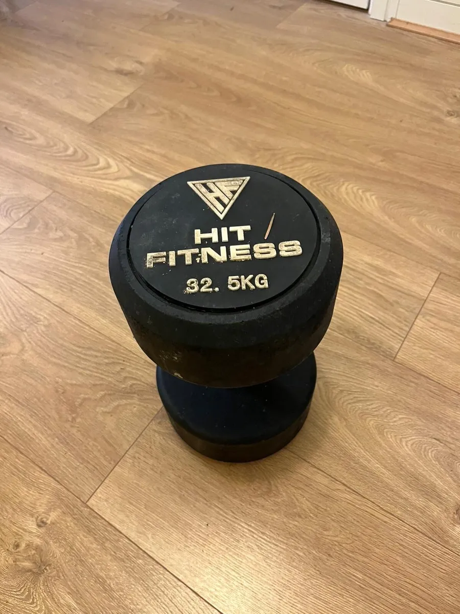 32.5kg Dumbells - Image 3