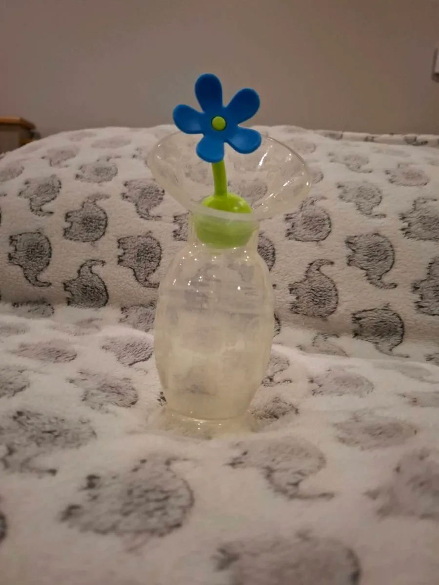 Breast Pump - Image 2