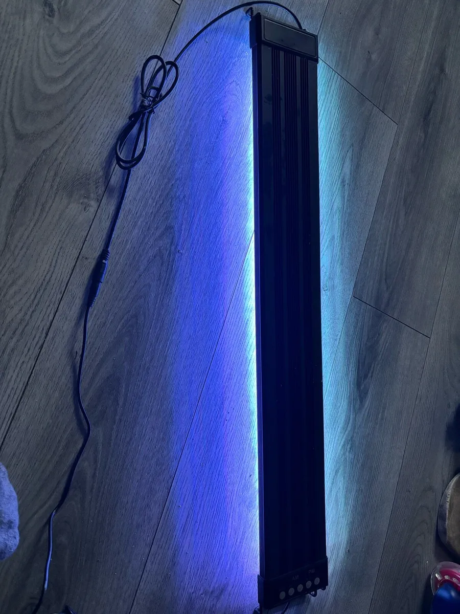 Fish tank - Image 3