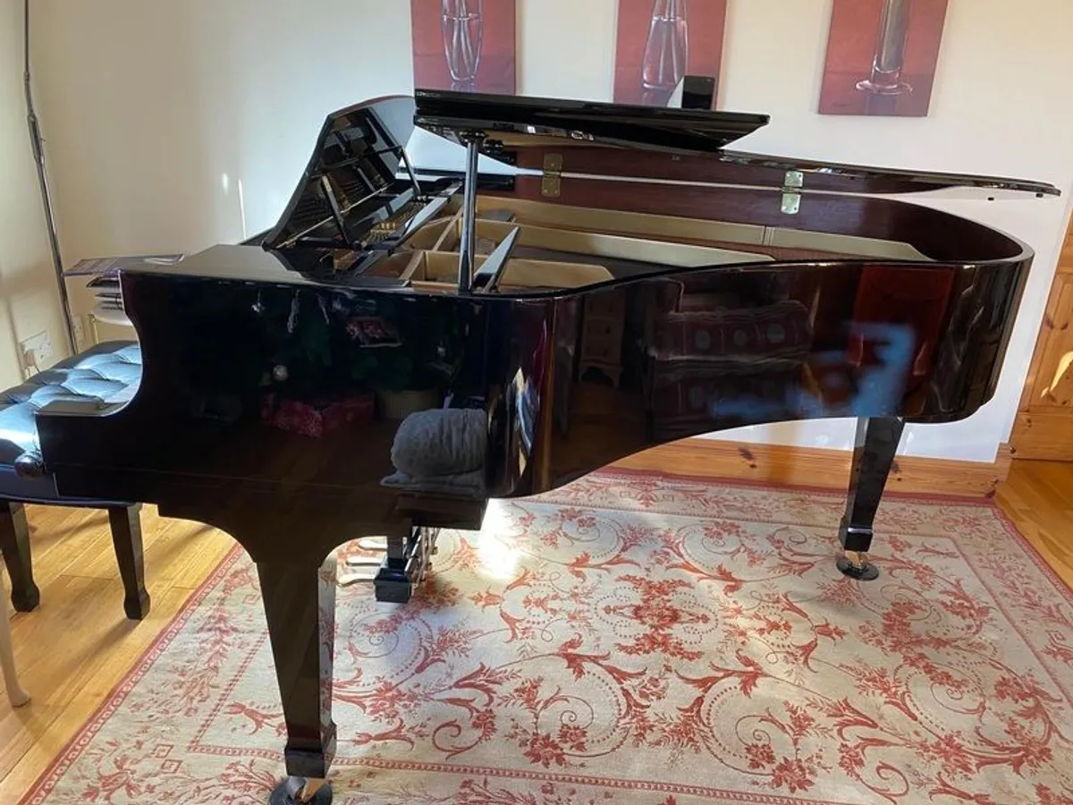 Grand Piano Boston (2006) - Image 1