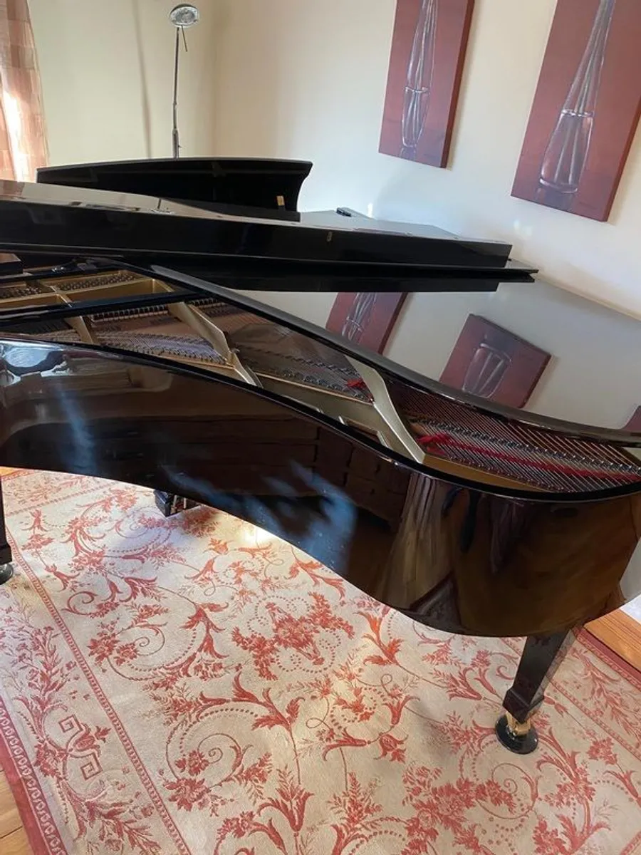Grand Piano Boston (2006) - Image 3