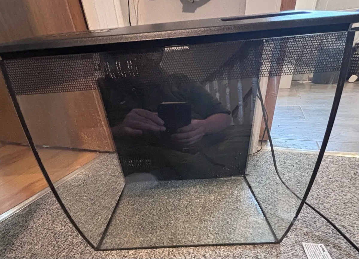 Fish tank - Image 1