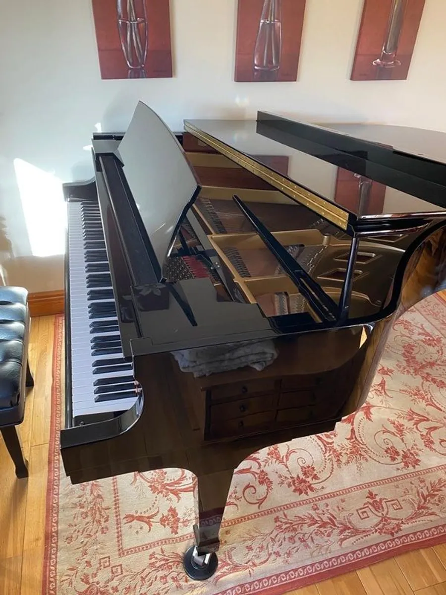 Grand Piano Boston (2006) - Image 4