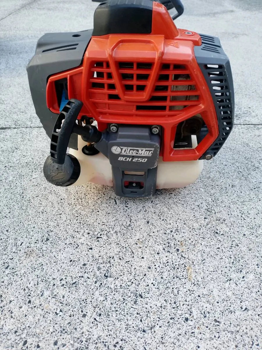 Grass strimmer - Image 1